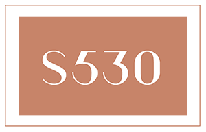 s530 icon rococo